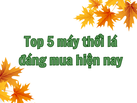 TOP 5 máy thổi lá mạnh nhất, giá rẻ năm 2024