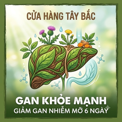 Người Gan Nhiễm Mỡ Đừng Bỏ Qua: 6 Ngày Có Thể Tạo Nên Khác Biệt