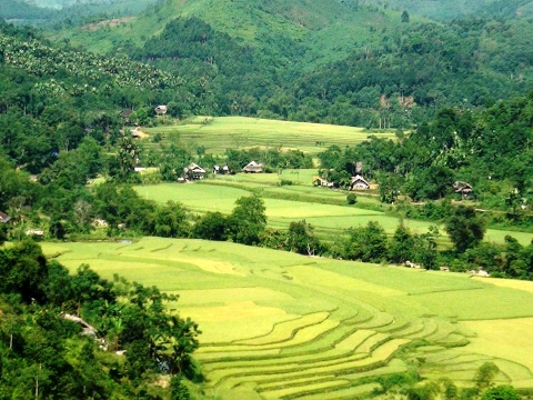 Chàng trai người Mông làm giàu bằng cách ứng dụng công nghệ Israel