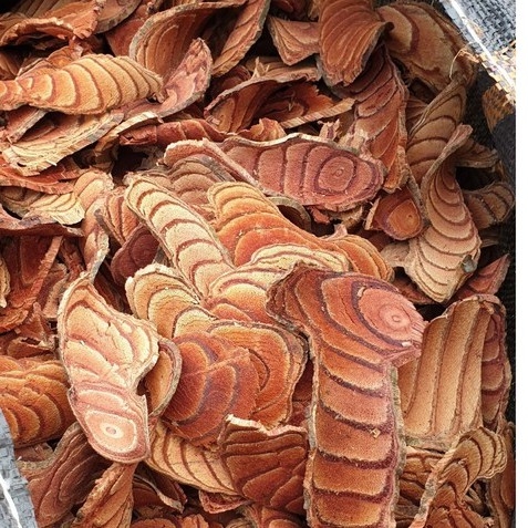 Cây Cỏ Máu - Vị thuốc quý từ thiên nhiên dành cho sức khỏe của bạn!