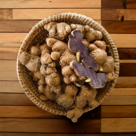 Gừng Đen - “Vàng Đen” Quý Hiếm Từ Núi Rừng Tây Bắc