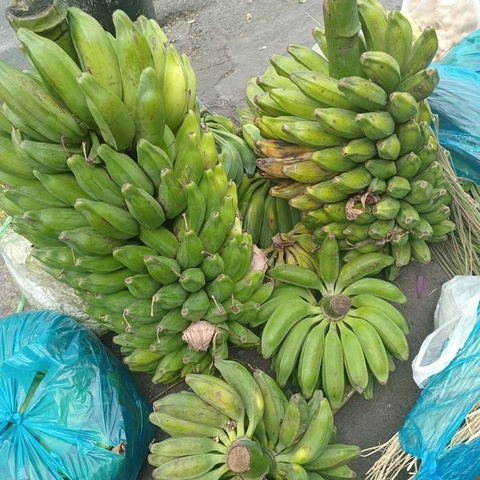 Chuối Hột Và Những Bài Thuốc Dân Gian Hiệu Quả