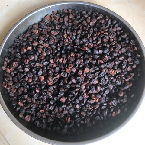 Hạt dổi