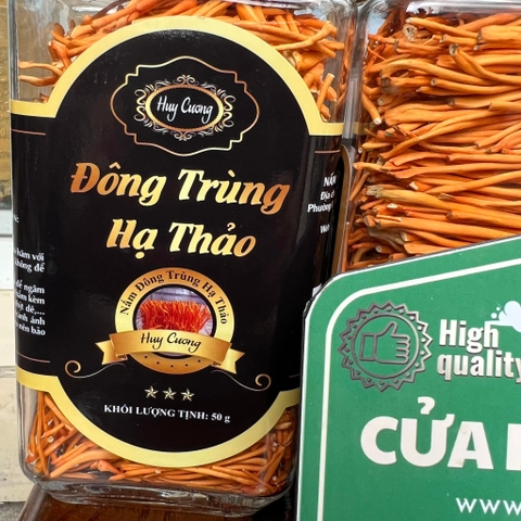 đông trùng hạ thảo huy cương