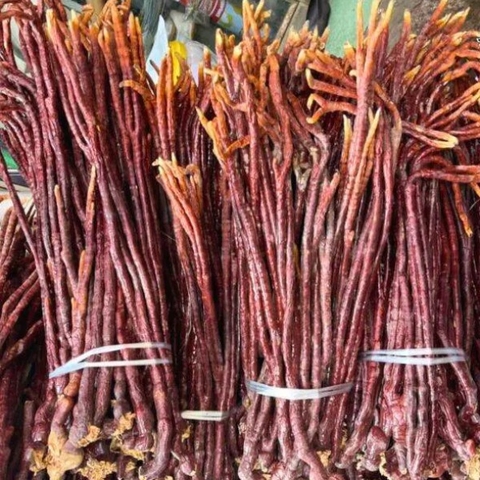 Nấm Linh Chi Sừng Hươu Tây Bắc