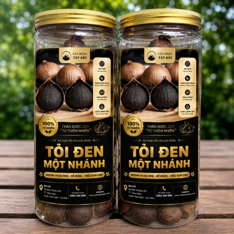 Tỏi đen mẫu mới