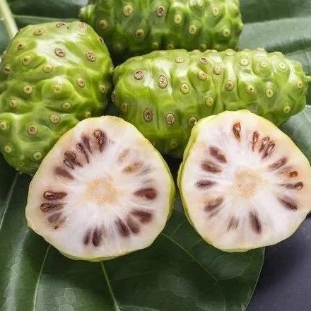 Quả nhàu cắt đôi