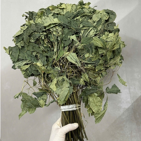 lá sâm lai châu khô