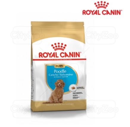 Hạt Royal Canin Poodle Puppy 1.5kg