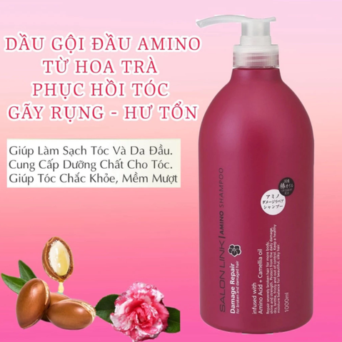 Dầu Gội, Dầu Xả Phục Hồi Hư Tổn Chiết Xuất Hoa Trà Salon Link Amino 1000ml