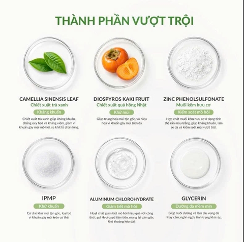 Kem Khử Mùi Không Cồn CAUMOS SARA SARA Cream 2.0 – Bản Nâng Cấp Khô Thoáng Nhẹ Tênh, Chiết Xuất Trà Xanh Nhật Bản