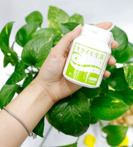 Viên Uống Hỗ Trợ Điều Trị Tiểu Đường Kikuimo Seikatsu Nhật Bản 450 Viên