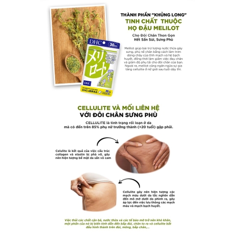 Viên Uống DHC Melilot Hỗ Trợ Thon Chân 30 Ngày 60 Viên