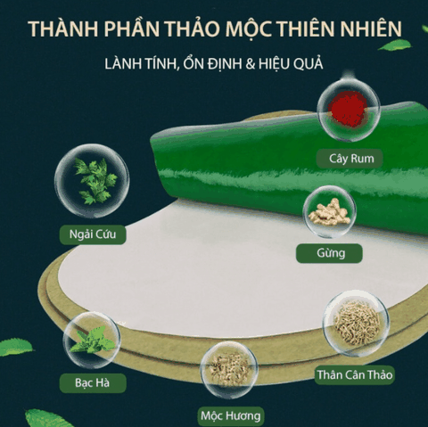 Hộp 12 Miếng Dán Tan Mỡ Bụng Giảm Cân Ngải Cứu Detox Giảm Mỡ Eo Thon Gọn Hiệu Quả Tiện Lợi
