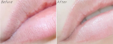 Son Dưỡng Không Màu Cho Môi Mềm Mại, Mịn Màng DHC Lip Cream 1.5g