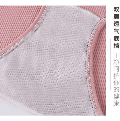 [Mã S01] Quần Lót Nữ Gân Tăm Gắn Nơ Dễ Thương Thông Hơi Mềm Mại Co Giãn 4 Chiều