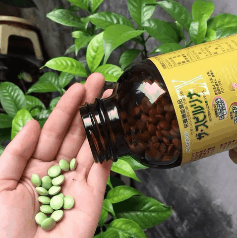 Set 2 lọ tảo vàng cao cấp Spirulina EX nội địa Nhật Bản 1000 viên