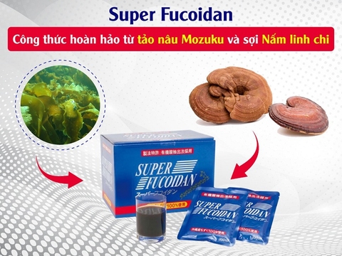 Thực Phẩm Hỗ Trợ Phòng Và Điều Trị Ung Thư Super Fucoidan Dạng Nước Nhật Bản Hộp 30 Gói X 100ml