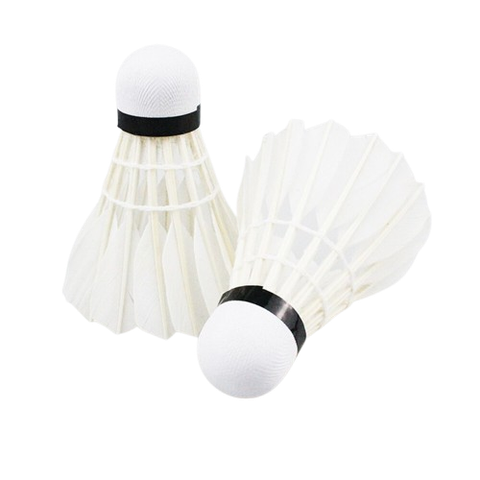 Cầu lông SL-005 1 cái-TA