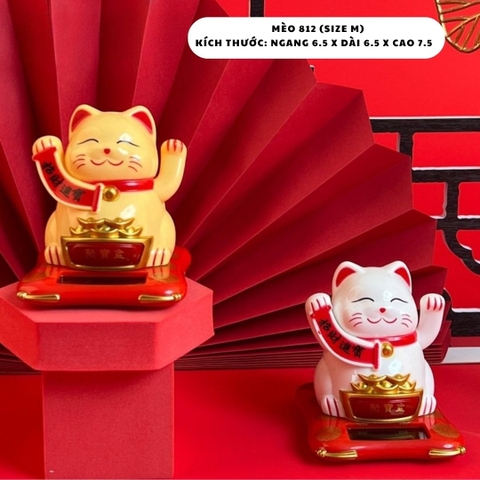 Mèo NL trắng 812-BL