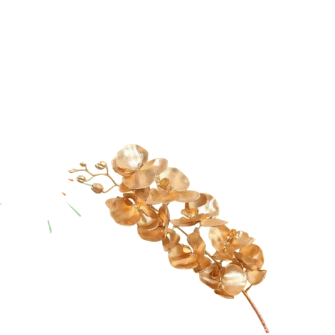 Tết-Cây táo vàng trang trí-TiTi/NM/GB