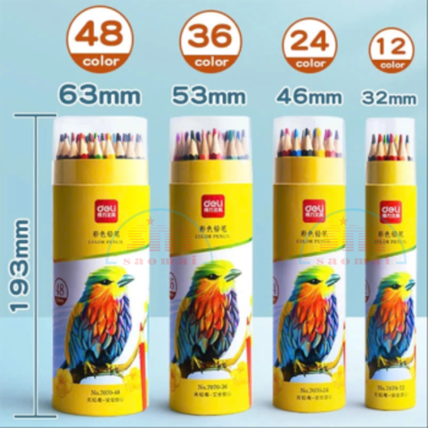 Bút chì 36 màu Deli dạng cốc 7070-LA