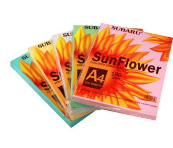 Bìa A4 ĐL SunFlower-VT