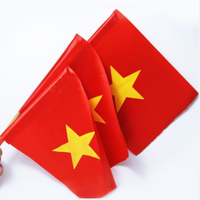 Cờ tổ quốc nhí-NQ/BM/NL