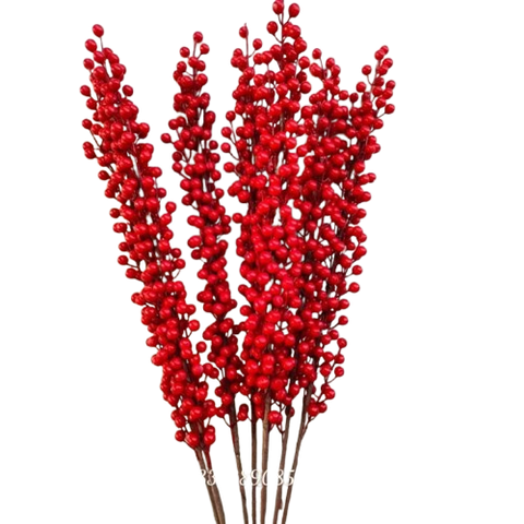 Tết-Cành đào đông 12 nhánh-TiTi