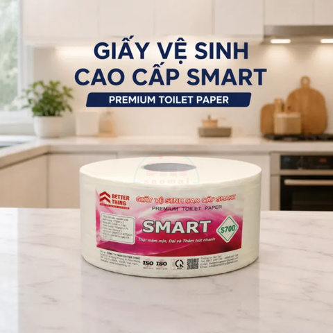 Giấy VS Smart 2 lớp S100 hồng-BT