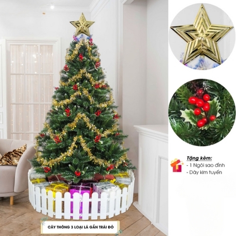 Noel-Cây thông 1,2m 3LLQC-4R 3 loại lá gắn trái đỏ-CC