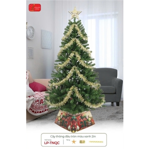 Noel-Cây thông 1,5m LP-TNQC-5T-CC