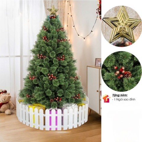 Noel-Cây thông 1,5m A6N-5 cước nở hoa có trang trí-CC