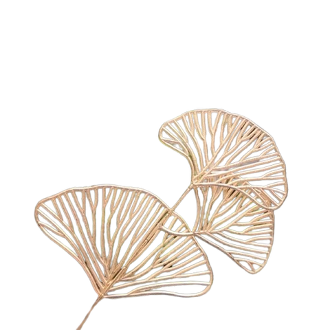 Nhánh quạt vàng nhỏ-TiTi