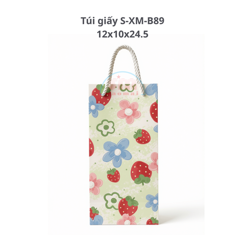 Túi giấy S-XM-B89 12x10x24.5-TL
