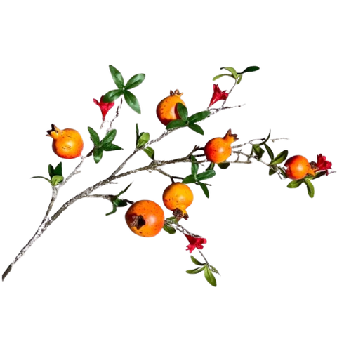 Cành lựu nhỏ-TiTi