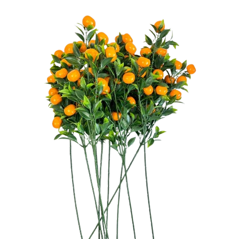 Tết-Cành quýt lớn-TiTi