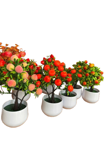 Chậu trái cây nhỏ-KTN