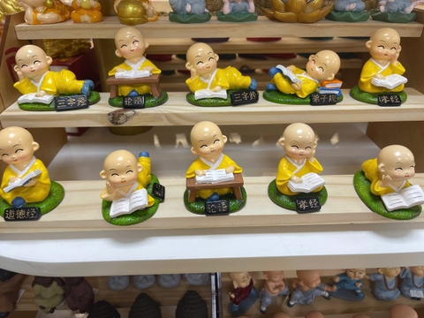 Chú tiểu đọc sách vàng/xanh-BL