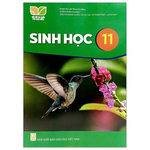 Kết nối trí thức Sinh học 11-TBTH