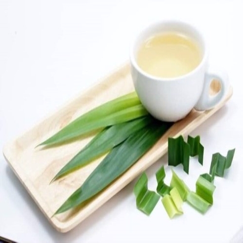 TRÀ SÂM DỨA: 4 ĐIỀU BẠN CẦN BIẾT VỀ LOẠI TRÀ NÀY