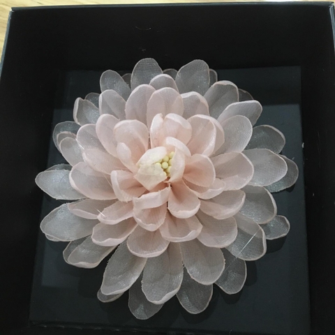 [Có sẵn] Cài áo hoa cúc trắng lớn/ Hoa cài áo fullsize/ Quà tặng đối tác/ Hoa cài áo cho lễ tân