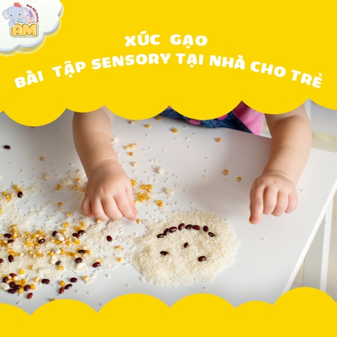 XÚC GẠO - BÀI TẬP SENSORY TẠI NHÀ CHO TRẺ