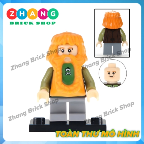 Đồ chơi xếp hình Chúa tể những chiếc nhẫn trong The Lord of the Rings Minifigures POGO PG8149
