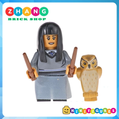 Đồ chơi xếp hình Harry Potter Hermione Trelawny Cho Chang Dean Thomas Dobby Tina Scamander Minifigures POGO PG8192