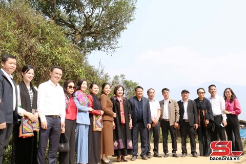 THỐNG ĐỐC NGÂN HÀNG NHÀ NƯỚC ĐẾN THĂM QUẦN THỂ DI SẢN CHÈ SHAN TUYẾT CỔ THỤ