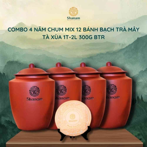 COMBO 4 NĂM CHUM TRÀ 12 BÁNH BẠCH TRÀ MÂY TÀ XÙA 1T-2L 300G BTR