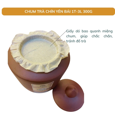 TRÀ VÀNG - CHUM TRÀ CHÍN YÊN BÁI 1 TÔM - 3 LÁ 300G