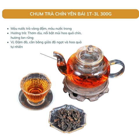 TRÀ VÀNG - CHUM TRÀ CHÍN YÊN BÁI 1 TÔM - 3 LÁ 300G