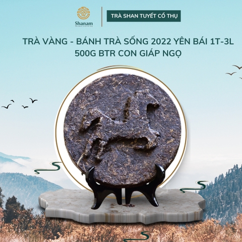 TRÀ VÀNG - BÁNH TRÀ SỐNG 2022 YÊN BÁI 1 TÔM -3 LÁ 500G BTR CON GIÁP NGỌ